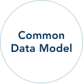 Common Data Model circle text image